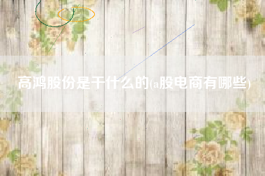 高鸿股份是干什么的(a股电商有哪些)