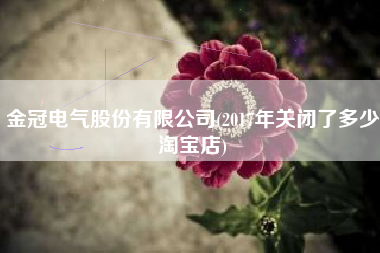 金冠电气股份有限公司(2017年关闭了多少淘宝店)
