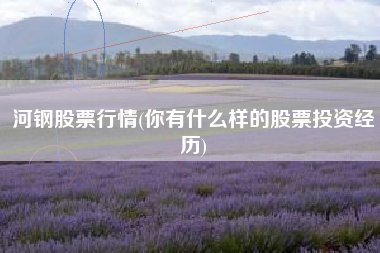 河钢股票行情(你有什么样的股票投资经历)