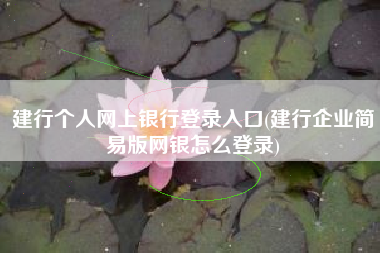 建行个人网上银行登录入口(建行企业简易版网银怎么登录)