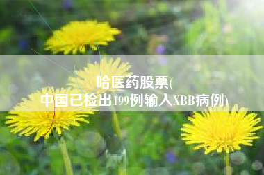 哈医药股票(
中国已检出199例输入XBB病例)