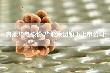 内蒙华电股份(华能集团旗下上市公司)