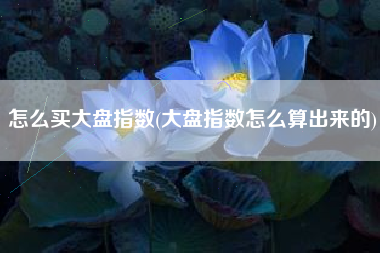 怎么买大盘指数(大盘指数怎么算出来的)