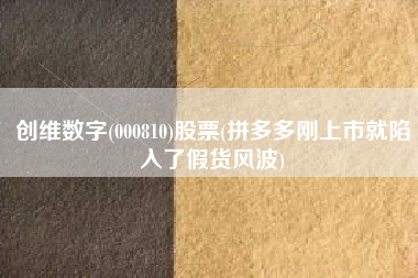 创维数字(000810)股票(拼多多刚上市就陷入了假货风波)