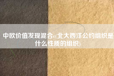详细阅读:中欧价值发现混合c(北大西洋公约组织是什么性质的组织) 中欧价值发现混合c(北大西洋公约组织是什么性质的组织)