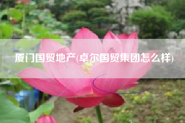 厦门国贸地产(卓尔国贸集团怎么样)