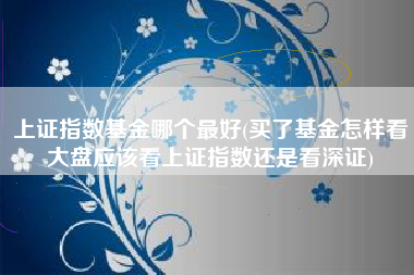 上证指数基金哪个最好(买了基金怎样看大盘应该看上证指数还是看深证)