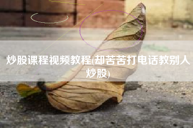 炒股课程视频教程(却苦苦打电话教别人炒股)