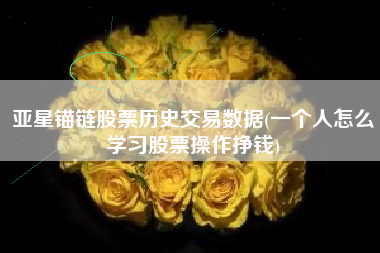 亚星锚链股票历史交易数据(一个人怎么学习股票操作挣钱)