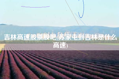 吉林高速股票股吧(苏家屯到吉林是什么高速)