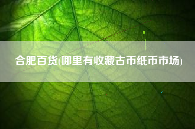 合肥百货(哪里有收藏古币纸币市场)