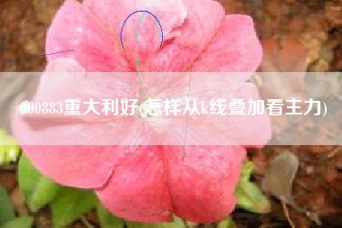 000883重大利好(怎样从k线叠加看主力)