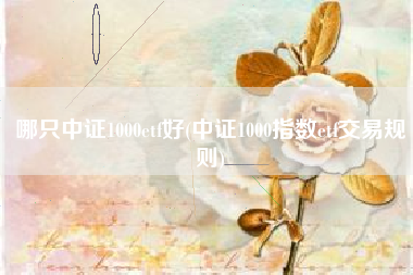 哪只中证1000etf好(中证1000指数etf交易规则)