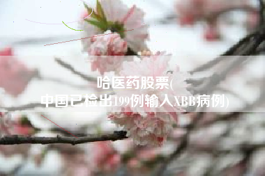 哈医药股票(
中国已检出199例输入XBB病例)