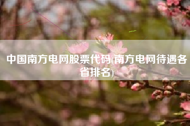 中国南方电网股票代码(南方电网待遇各省排名)