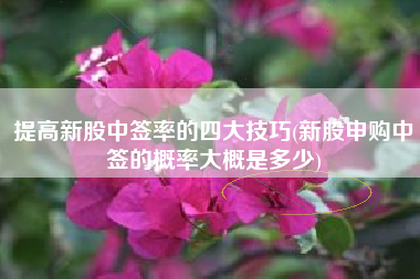 提高新股中签率的四大技巧(新股申购中签的概率大概是多少)
