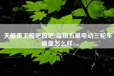 详细阅读:天能重工股吧股吧(福田五星电动三轮车质量怎么样) 天能重工股吧股吧(福田五星电动三轮车质量怎么样)