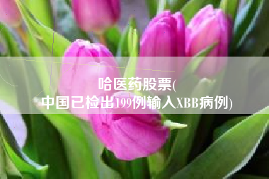 哈医药股票(
中国已检出199例输入XBB病例)