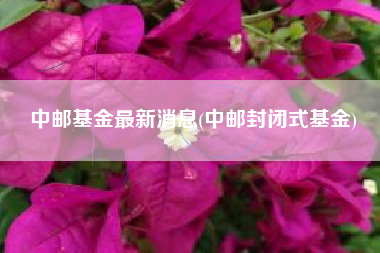 中邮基金最新消息(中邮封闭式基金)