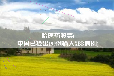 哈医药股票(
中国已检出199例输入XBB病例)