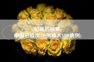 哈医药股票(
中国已检出199例输入XBB病例)