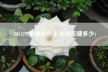 301429(泰森股份上市中签赚多少)