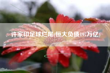 许家印足球烂尾(恒大负债197万亿)