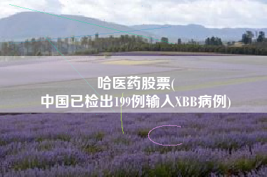 哈医药股票(
中国已检出199例输入XBB病例)