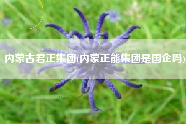 内蒙古君正集团(内蒙正能集团是国企吗)