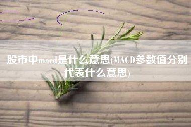 股市中macd是什么意思(MACD参数值分别代表什么意思)