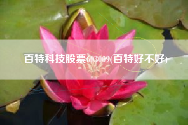 百特科技股票603009(百特好不好)