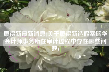 康得新最新消息(关于康得新造假案瑞华会计师事务所在审计过程中存在哪些问题)