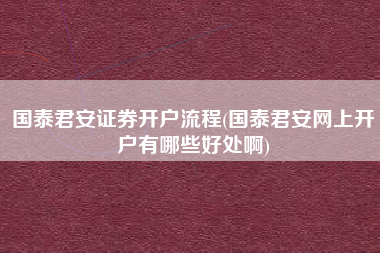 国泰君安证券开户流程(国泰君安网上开户有哪些好处啊)