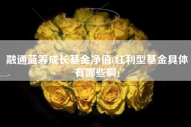 详细阅读:融通蓝筹成长基金净值(红利型基金具体有哪些啊) 融通蓝筹成长基金净值(红利型基金具体有哪些啊)