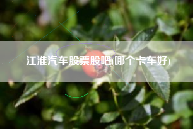 详细阅读:江淮汽车股票股吧(哪个卡车好) 江淮汽车股票股吧(哪个卡车好)
