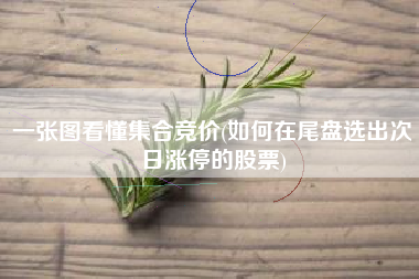 详细阅读:一张图看懂集合竞价(如何在尾盘选出次日涨停的股票) 一张图看懂集合竞价(如何在尾盘选出次日涨停的股票)