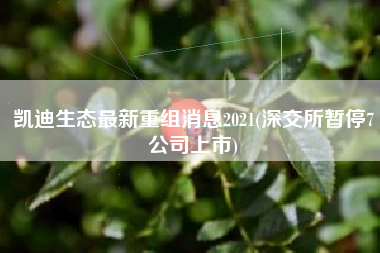 详细阅读:凯迪生态最新重组消息2021(深交所暂停7公司上市) 凯迪生态最新重组消息2021(深交所暂停7公司上市)