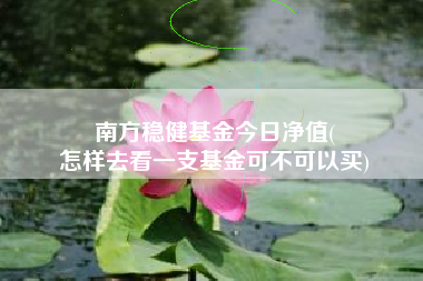 南方稳健基金今日净值(
怎样去看一支基金可不可以买)