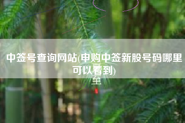 详细阅读:中签号查询网站(申购中签新股号码哪里可以看到) 中签号查询网站(申购中签新股号码哪里可以看到)
