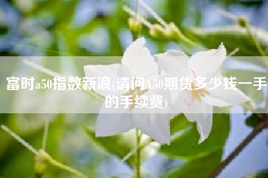 详细阅读:富时a50指数新浪(请问A50期货多少钱一手的手续费) 富时a50指数新浪(请问A50期货多少钱一手的手续费)