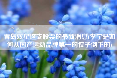 青岛双星这支股票的最新消息(李宁是如何从国产运动品牌第一的位子倒下的)