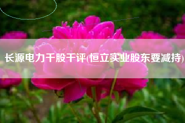 长源电力千股千评(恒立实业股东要减持)