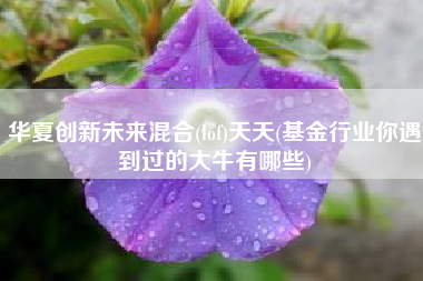 华夏创新未来混合(lof)天天(基金行业你遇到过的大牛有哪些)