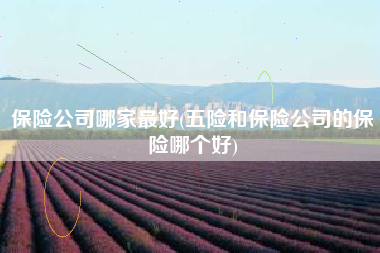 保险公司哪家最好(五险和保险公司的保险哪个好)