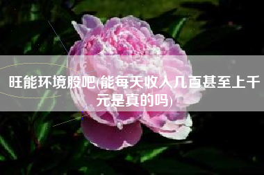 旺能环境股吧(能每天收入几百甚至上千元是真的吗)