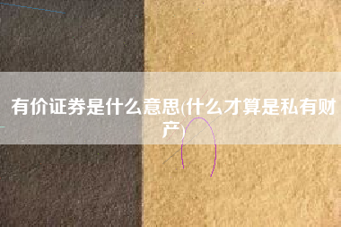 有价证券是什么意思(什么才算是私有财产)