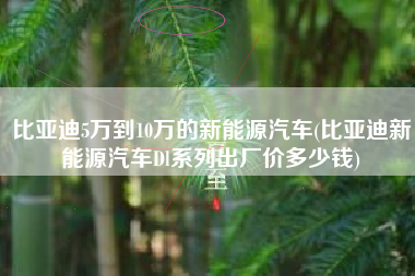 比亚迪5万到10万的新能源汽车(比亚迪新能源汽车Dl系列出厂价多少钱)