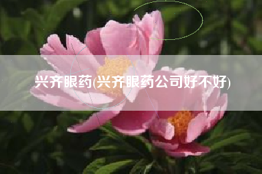 兴齐眼药(兴齐眼药公司好不好)