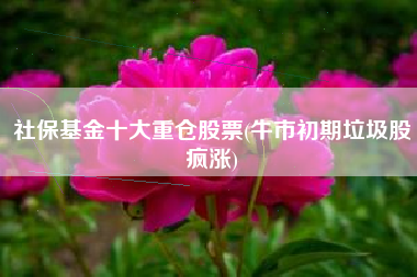 社保基金十大重仓股票(牛市初期垃圾股疯涨)