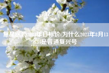 复星医药2023年目标价(为什么2023年8月13G34是普通复兴号
) 复星医药2023年目标价(为什么2023年8月13G34是普通复兴号
)